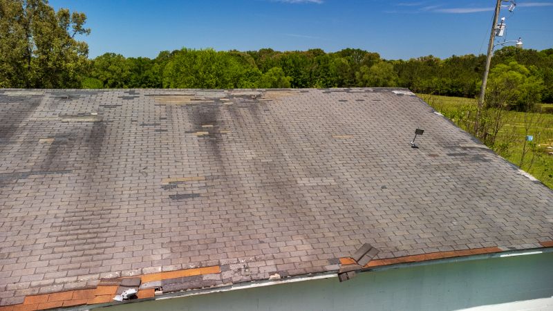 Hail Damage Roof Repair detail