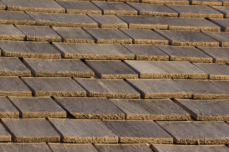 Shake Shingle Repair detail