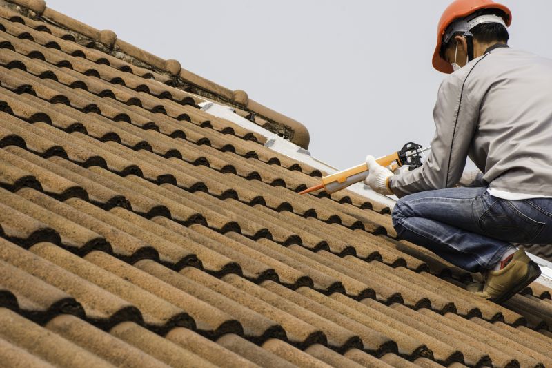 Professional Roofing Service